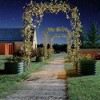 Raised Garden Bed, with 95" H Arched Trellis, Galvanized Planter Garden Box Outdoor for Gardening, Climbing Vegetables, Flowers, Plants - 4 of 4