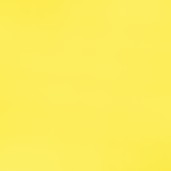 spongebob yellow