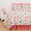 C&F Home 26" x 26" Decorative 100% Cotton Summer Euro Pillow Sham w/ Zipper Closure - 3 of 3