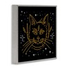 Stupell Industries Starry Cat Lightning Bolt Framed Giclee Art - 2 of 4
