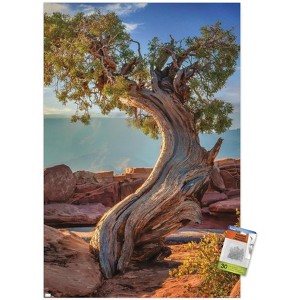 Trends International Beth Sheridan - Dead Horse Point Unframed Wall Poster Prints - 1 of 4