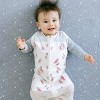 Happiest Baby Sleepea Sack Swaddle Wrap - Watermelons - 3 of 3