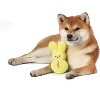 Peeps for Pets Dress Up Plush Bunny Toys for Dog - Yellow - 4 of 4