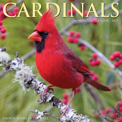 2022 Wall Calendar Cardinals - Willow Creek Press