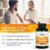 Swanson Super Stress B-Complex with Vitamin C 100 Caps. - 4 of 4