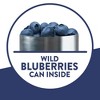 Krusteaz Wild Blueberry Muffin Mix, Blueberry Muffins Made With Real Blueberries, 17.1 oz Box ( Pack of 2) - 4 of 4