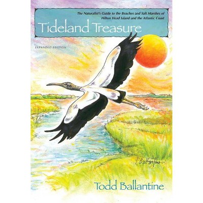 Tideland Treasure - 2nd Edition by  Todd Ballantine (Paperback)