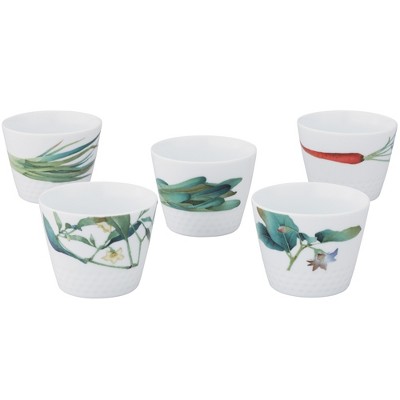 Noritake Kyoka Shunsai 5-Piece Japanese Cup Set, 7 oz.