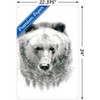 Trends International Bear - Trees Unframed Wall Poster Prints - 3 of 4