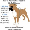 2 Hounds Design Freedom No-Pull Dog Harness Training Package, Small, Raspberry - 3 of 4