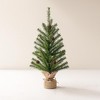 Mini Pine Tree with Burlap Bag Base and Pinecone Accents (Set of 2) - 2 of 3