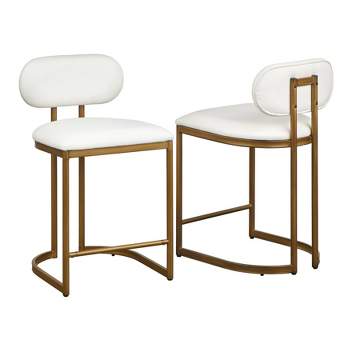 Set of 2 24" Perry Metal Counter Stool - angelo:Home