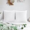 PiccoCasa Zipper Closure Breathable Luxury Viscose From Bamboo Pillowcases 2 Pcs - 2 of 3