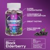 Sambucus Elderberry Immune Gummies - Daily Immune Support for Kids & Adults - Super Concentrated 35:1 Extract, Equivalent to 4200mg - 60 Gummies - 4 of 4