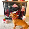 Aivituvin Dog Crate Furniture with Casters|Side End Table with Tray| Cushion Included-AIR78/79 - 3 of 4