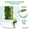 Prepara Herb Savor Eco Fresh Herb Keeper - Compact for Sleek Fridge Storage, BPA Free Plastic - Plant Hydration Container - Dishwasher Safe (2-Pack) - 4 of 4