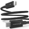 Fosmon [Intel Certified] Thunderbolt 4 Cable 3.3 ft, USB-C Thunderbolt 4 Cable, USB-PD 3.0, Support 8K Display, 100W Charging for iPad Pro MacBook Pro - 2 of 4