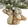 Nearly Natural 28-in Flocked Artificial Christmas Tree with Pine Cones - 4 of 4