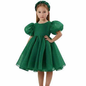 2Bunnies Girls' 12M-10yr Organza Puff Sleeve Babydoll Fit & Flare Princess  Flower Girl Dress : Target