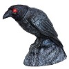 Halloween Express Raven with Turning Head & Sound Halloween Decoration - Size 17 in - Black - 2 of 2