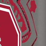 stanford cardinal