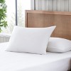 Eddie Bauer® Extra Soft Feather Pillow Twin Pack (Hypoallergenic) - Jumbo Size - 2 of 4