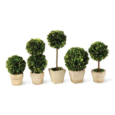 Plum & Post Boxwood Mini Faux (Fake) Topiaries In Pots, Set Of 5