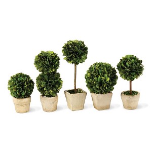 Plum & Post Boxwood Mini Faux (Fake) Topiaries In Pots Set of 5 - 1 of 2
