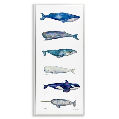 Stupell Industries Maritime Sea Life Chart, 10" x 24"
