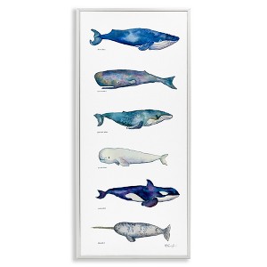Stupell Industries Maritime Sea Life Chart, 10" x 24" - 1 of 4
