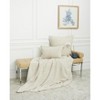 C&F Home 26" x 26" Beacon Cotton Euro Sham - Machine Washable - 2 of 4