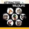 Wildlife Elements Critter Corn, Natural Whole Shelled Corn for Wildlife, USA Sourced, 44lb - 3 of 4