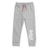 Bluey Fleece Pullover Hoodie and Pants Outfit Set Little Kid - image 4 of 4