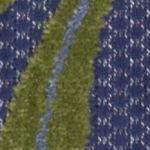 navy multicolor