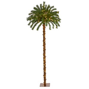 HomeStock  5 ft. Artificial Palm Tree in Pot for Indoor/Outdoor - 1 of 4