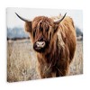 Stupell Industries Grazing Longhorn Cattle Farmland Animal Portrait Canvas Wall Art - 3 of 4