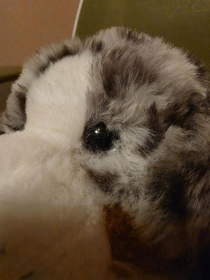 Guest review image 2 of 4, zoom in