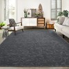 Whizmax Area Rug5¡¯x8¡¯ Indoor Small Area Rug Non-Slip Non-Shedding Tufted Area Rug for Bedroom Living Room Kitchen, 11x15 Feet - 3 of 4