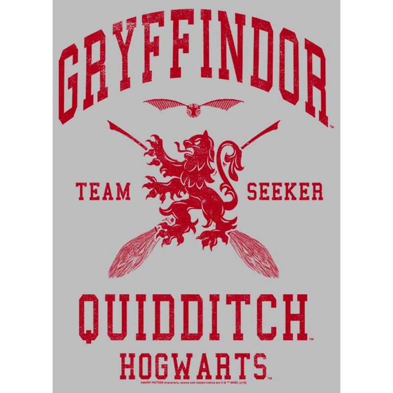 Men's Harry Potter Gryffindor Quidditch Team Seeker T-Shirt, 2 of 6
