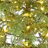 Puleo 4' Pre-lit Potted Mountain Cedar Artificial Christmas Tree - 2 of 4