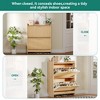 Shoe Cabinet Narrow Fluted with Air -Purifier Shoe Storage Cabinet with 2 Flip Drawer Adjustable or Removable Hidden Shoe Rack - 4 of 4