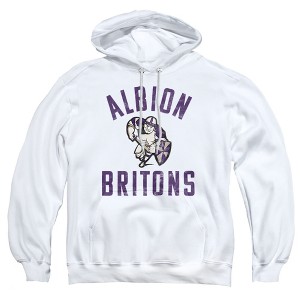 Albion College Official Britons Logo Adult Pull-Over Hoodie - 1 of 4