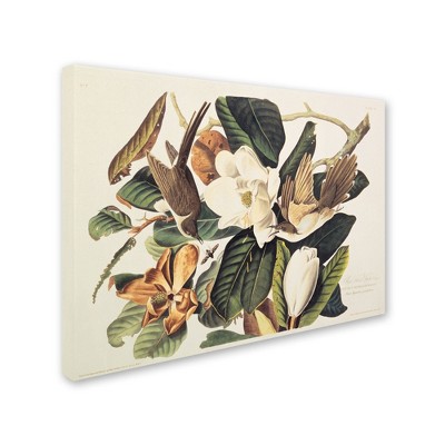 Trademark Fine Art -John James Audubon 'Black-Billed Cuckoo' Canvas Art