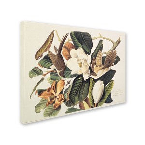 Trademark Fine Art -John James Audubon 'Black-Billed Cuckoo' Canvas Art - 1 of 4