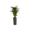Ecopots Amsterdam Mid High Durable Modern Round Indoor/Outdoor Recycled-Based Composite Flower Pot Planter - 4 of 4
