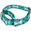 Country Brook Petz Martingale Dog Collar - Dog's Life Collection - 2 of 4