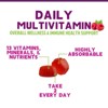 Adult Multivitamin Gummies, Daily Vitamins for Women & Men, Vitamins A, C, D3, E, B6, B12, Zinc and Antioxidants - 3 of 4