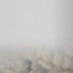 double meal white transparent