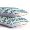 Deny Designs King Jenean Morrison Feedsack Striped King Comforter and Pillow Shams Blue: Abstract Design, Non-Woven, Machine Washable - 3 of 3