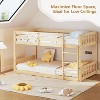 JOYMOR Low Twin Over Twin Bunk Bed for Kids/Junior, Wood Twin Bunk Bed Frame with Guardrails & Ladder for Boys Girls, Mattress Not Included - 3 of 4